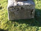image of grave number 136132